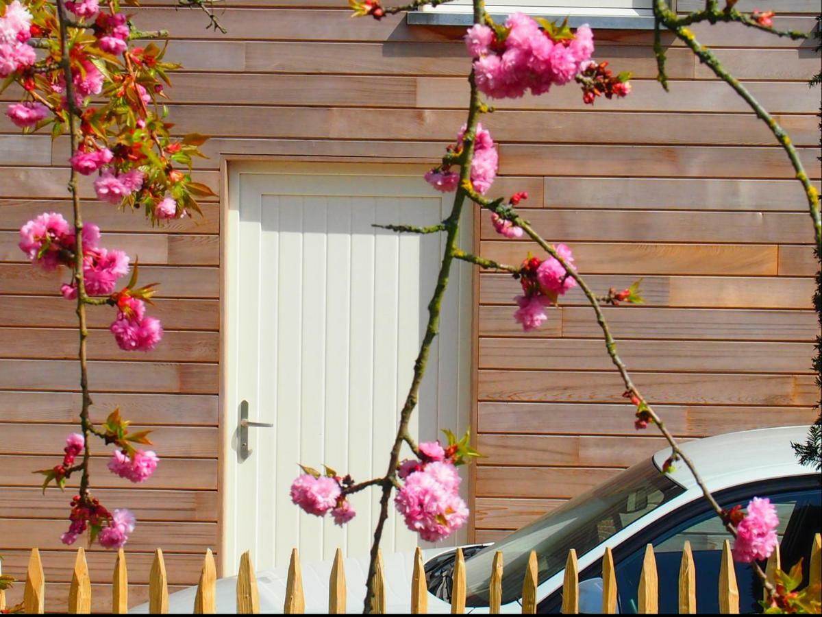 Archipel Holiday Cottage Ellezelles Экстерьер фото